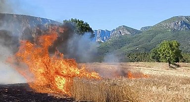 Samsun itfaiyesi, 6 ayda 263 orman ve anız yangınına müdahale etti