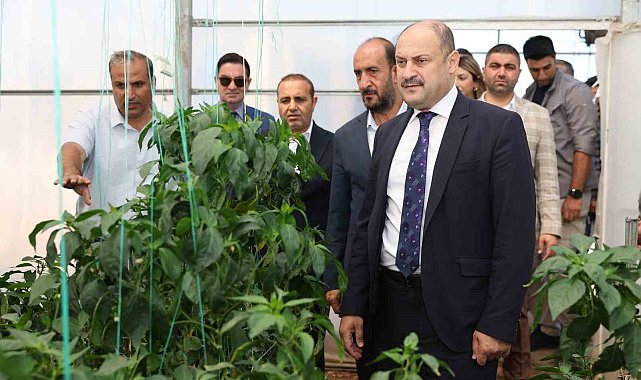 Şanlıurfa Büyükşehir Belediyesi Ata Tohumuna sahip çıkıyor