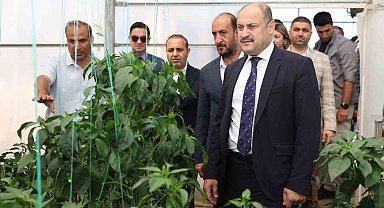 Şanlıurfa Büyükşehir Belediyesi Ata Tohumuna sahip çıkıyor