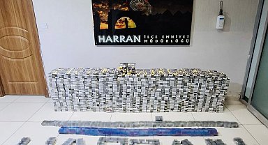 Şanlıurfa'da 4 bin paket kaçak sigara ele geçirildi: 1 gözaltı