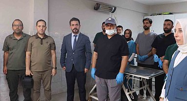 Şanlıurfa'da sokak hayvanları için doğal yaşam alanı ve kısırlaştırma seferberliği başlıyor
