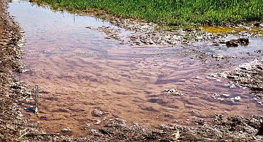 Şanlıurfa'da tarımsal su krizi derinleşiyor