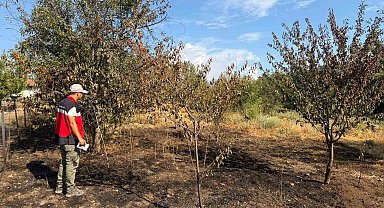 Şaphane'de meyve bahçesindeki yangın sonrası hasar tespit çalışması
