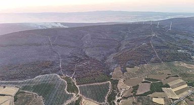 Şarköy'deki orman yangını kontrol altına alındı