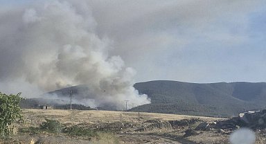 Saruhanlı'da orman yangını: 3 mahalle tahliye ediliyor