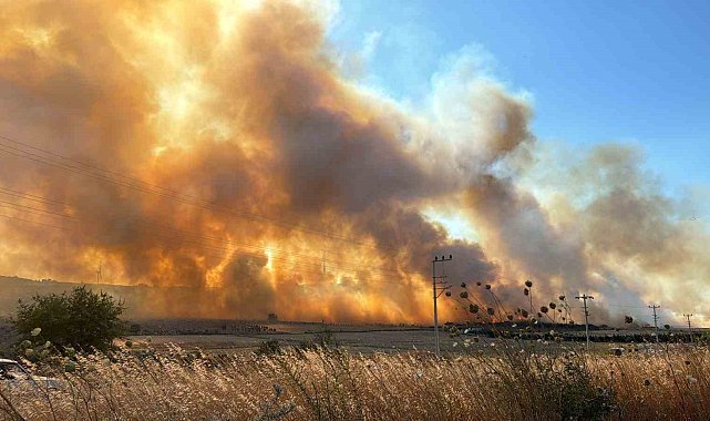 Seferihisar'da yeni bir yangın: TOKİ konutları tedbiren tahliye edildi