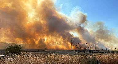 Seferihisar'da yeni bir yangın: TOKİ konutları tedbiren tahliye edildi