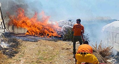 Serik'te çalılıklarda başlayan yangın 2 seraya zarar verdi