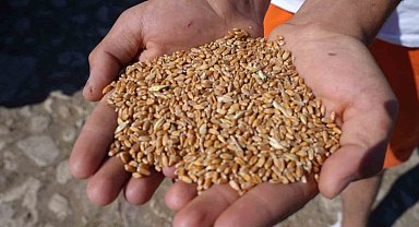 Sertifikalı tohum desteği başvurularında son gün 31 Temmuz