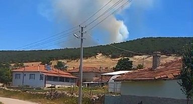 Seyitgazi'de orman yangını