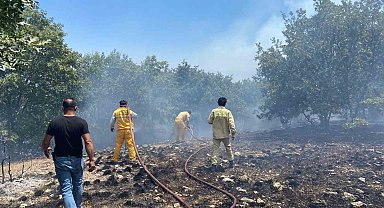 Seyitgazi'de orman yangınına ekiplerin müdahalesi başladı