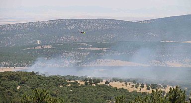 Seyitgazi'de orman yangınıyla ilgili açıklama