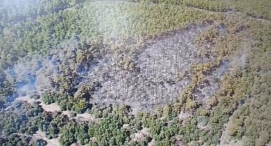 Seyitgazi'de yangının oluşturduğu tahribat havadan görüntülendi