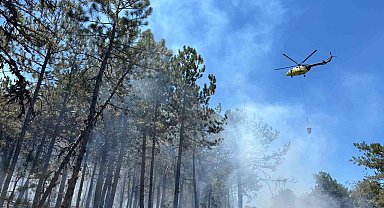 Seyitgazi'deki orman yangını kontrol altına alındı, soğutma çalışmaları sürüyor