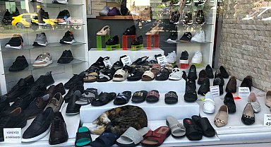 Sıcaktan bunalan kedinin çözümü görenlerin içini ısıttı