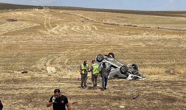 Siirt'te kontrolden çıkan otomobil tarlaya yuvarlandı: 1 yaralı