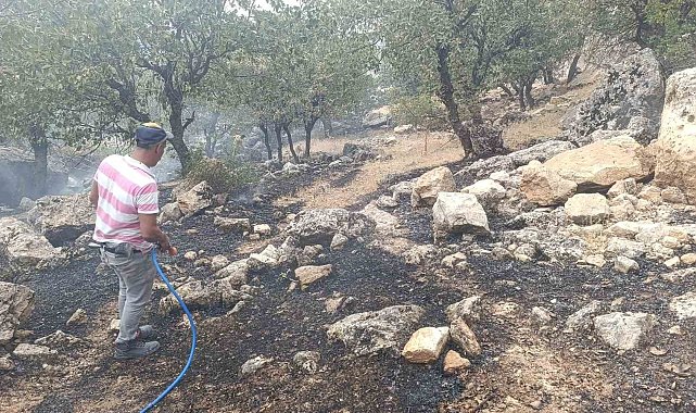 Siirt'te orman yangını büyümeden söndürüldü