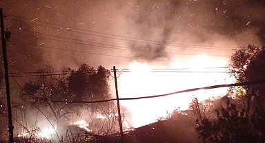 Silifke'de ağaçlık alanda çıkan yangın söndürüldü