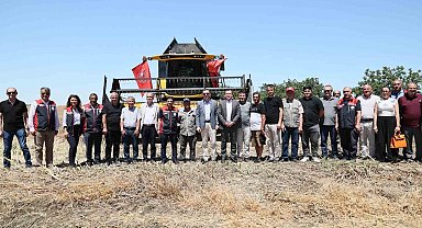 Silivri'de konala ve buğday hasadı başladı