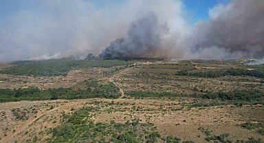Silivri'de tarım alanlarındaki yangın ormana sıçradı