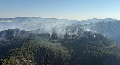 Sındırgı yangını kontrol altında