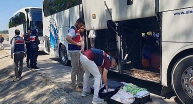 Sinop'ta düzensiz göçmen denetimi