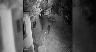 Sinop'ta evin bahçesine giren ayı kamerada