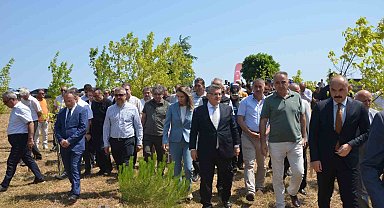 Sinop'ta Şehit Ömer Can Açıkgöz'ün adı hatıra ormanında yaşatılıyor