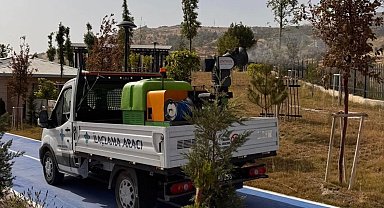 Şırnak Belediyesinden haşerelere karşı ilaçlama