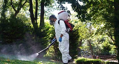 Şişli'de kene ve sineklere karşı etkin mücadele