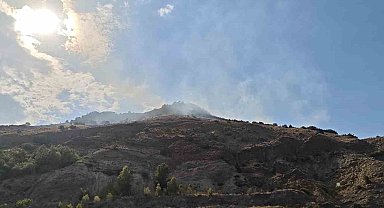Sivas'ta çıkan orman yangını kısa sürede kontrol altına alındı
