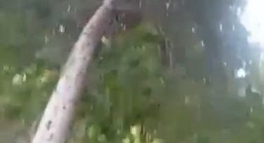 Siverek'te fırtına hayatı olumsuz etkiledi