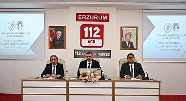 Sokak hayvanları mercek altında