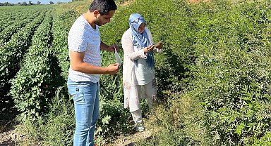 Söke'de ekipler sahaya indi, tuzaklar kontrol edildi