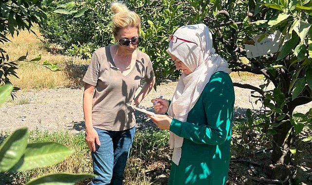 Söke'de tarla ve bahçelerde zararlı kontrolleri gerçekleştirildi