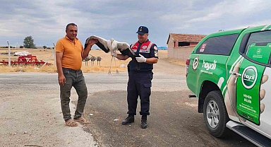 Sorgun'da bulunan yaralı leylek tedavi altına alındı