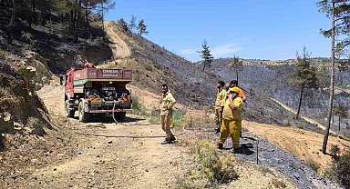 Şuhut Orman İşletme Şefliği ekipleri yangın bölgesinde