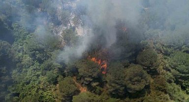 Sultangazi Kent Ormanı'nda yangın: İtfaiye ekipleri alevlere müdahale ediyor