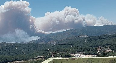 Suriye sınırında devam eden orman yangını için Hatay Büyükşehir Belediyesi ekipleri teyakkuza geçti