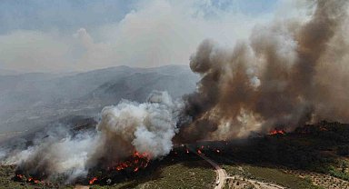 Suriye'de orman yangını sürüyor: itfaiyeciler alevlerin arasında kaldı