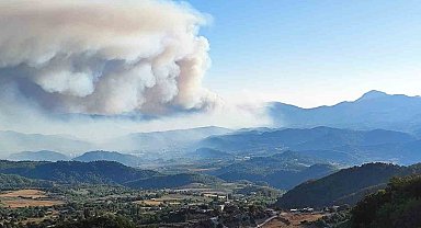Suriye'den Yayladağı'na sıçrayan alevler kontrol altına alındı