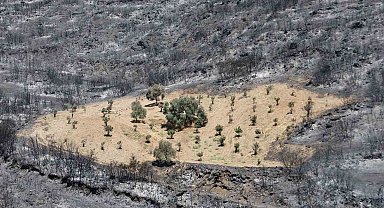 Sürülen alan alevlere geçit vermedi