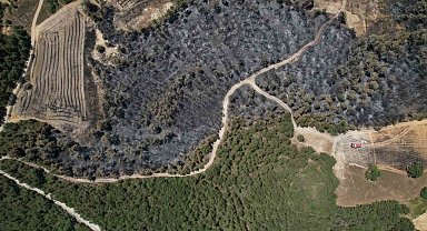 Taraklı orman yangınından geriye kalanlar