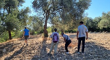 Tarihi zeytin yolları gün yüzüne çıkarılıyor