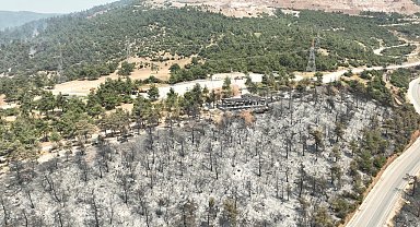 Tarihinin en büyük Gürsu yangınından yürek burkan bu manzaralar kaldı