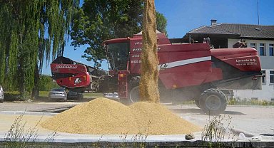 Tarım Akademisi'nde hasat bereketi