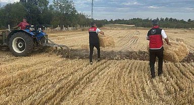 Tarım Müdürlüğü ekipleri yangın sonrası üreticilerin yanında