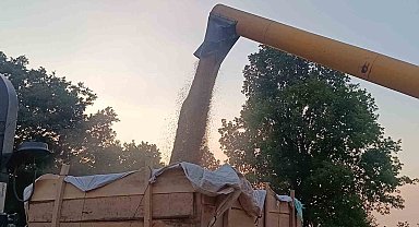 Tarım şehri Bilecik'te arpa ve buğday bereketi