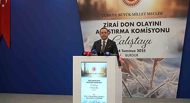Tarım ve Orman Bakan Yardımcısı Gizligider: "Türkiye'de ortaya çıkan yangınların yüzde 83'ü insan kaynaklı"