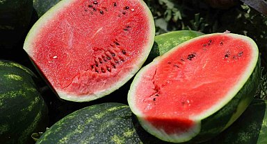 Tarladaki karpuz için öneri: "Belediyeler hasat edip ücretsiz dağıtsın"